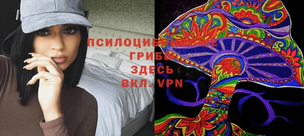 spice Алексин