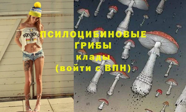 ешки Алзамай